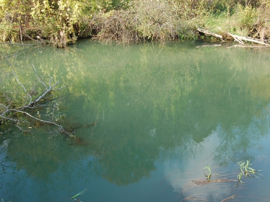 Изображение Фото: Яншевского Андрея. 