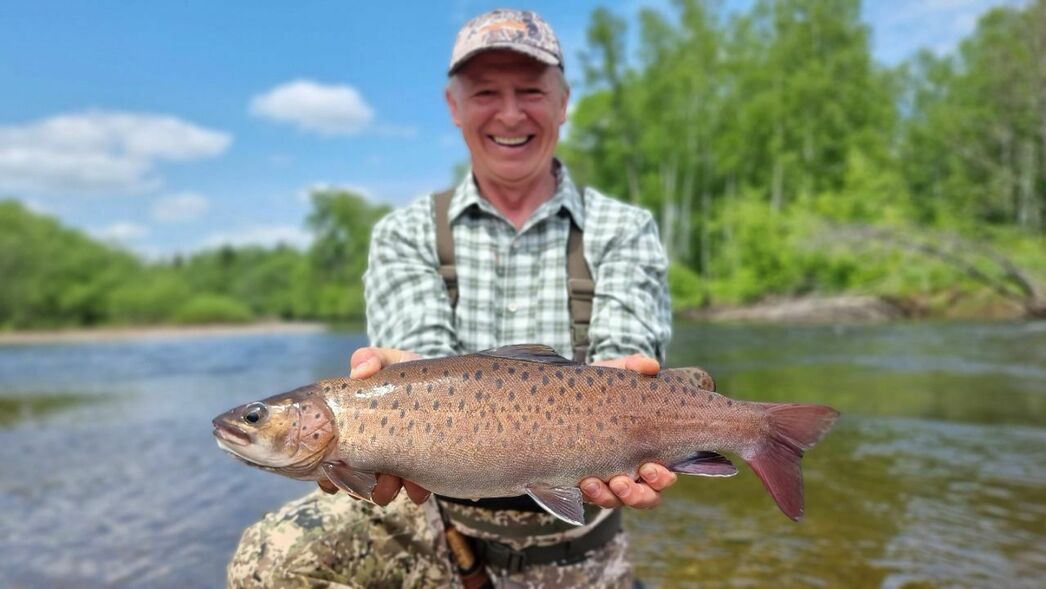 Изображение Фото Александра Муромова