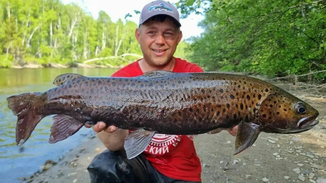 Изображение Фото Александра Муромова