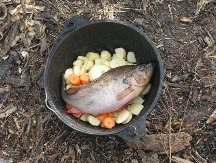 Изображение Самые вкусные виды рыб: бывают ли такие среди рыбаков и гурманов