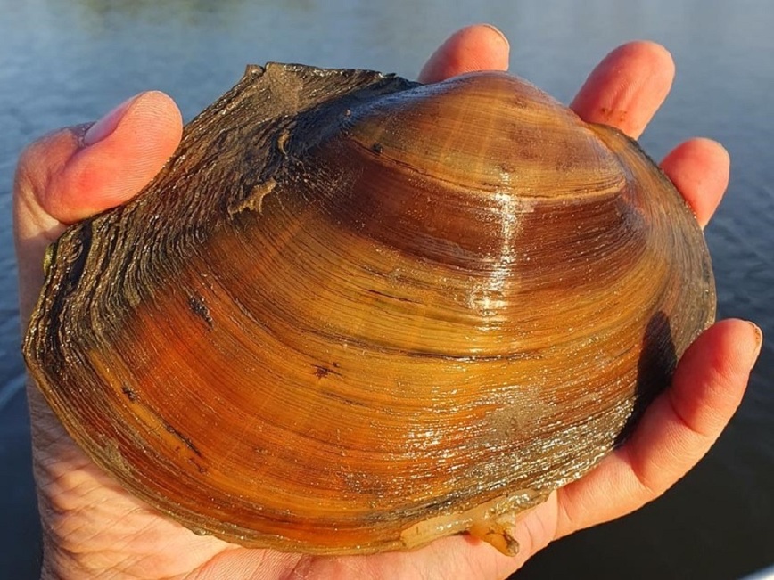 Изображение Фото: Коломийца Алексея. 