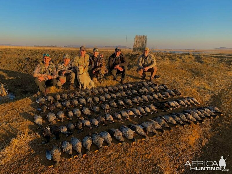 Изображение Охота на водоплавающих в ЮАР. Весна-лето 2023 года
Фото: africahunting.com