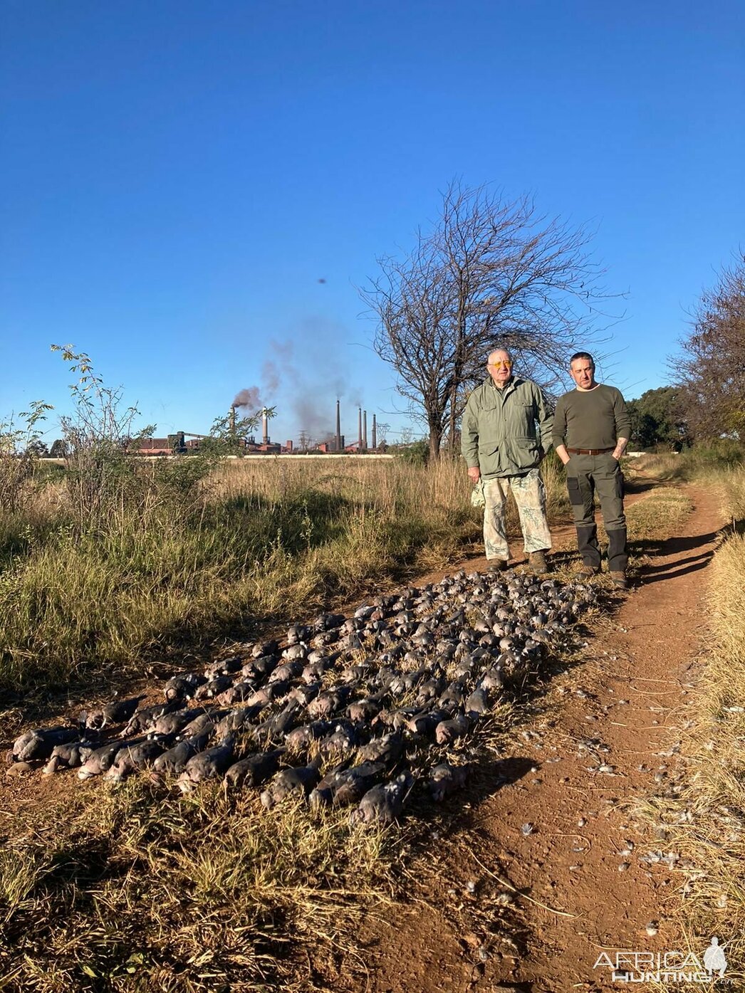 Изображение Охота на водоплавающих в ЮАР. Весна-лето 2023 года
Фото: africahunting.com