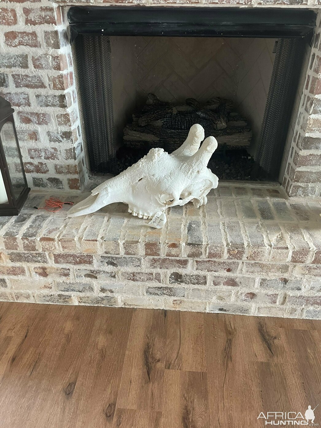 Изображение Фото: AfricaHunting.com