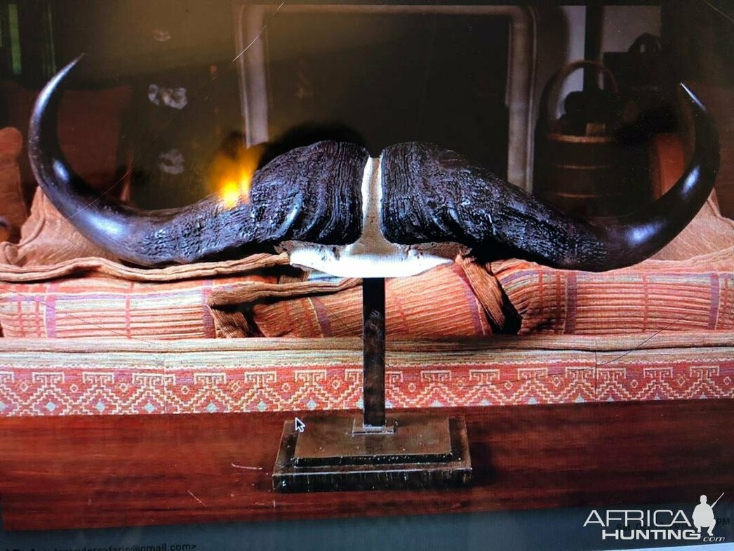 Изображение Фото: AfricaHunting.com