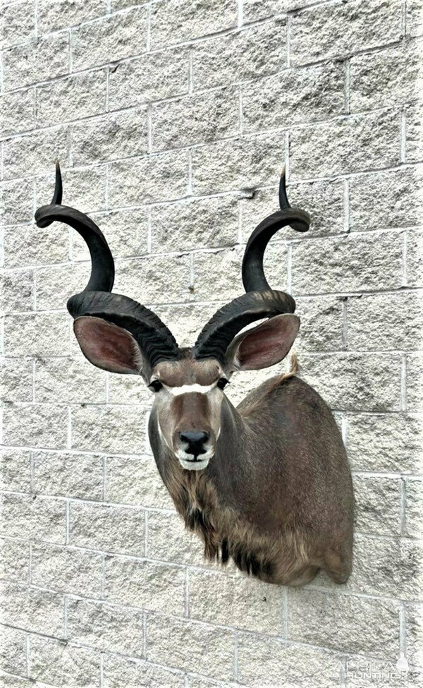 Изображение Фото: AfricaHunting.com