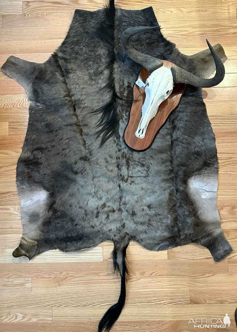 Изображение Фото: AfricaHunting.com