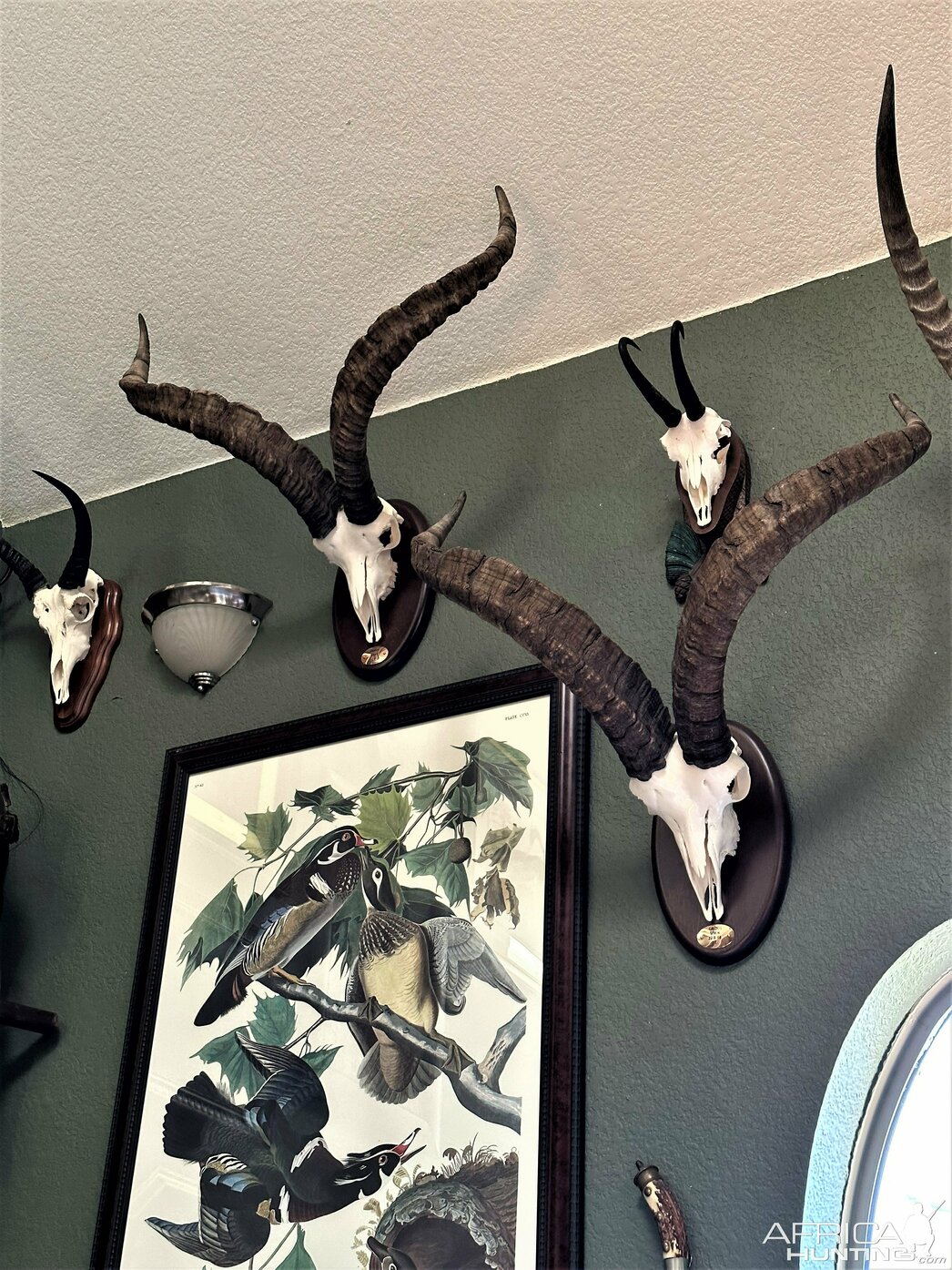 Изображение Фото: AfricaHunting.com