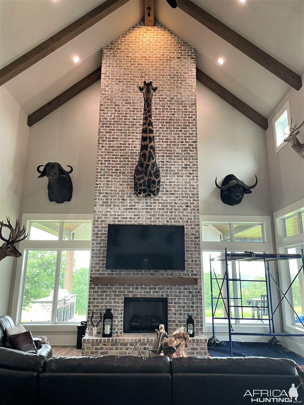 Изображение Фото: AfricaHunting.com