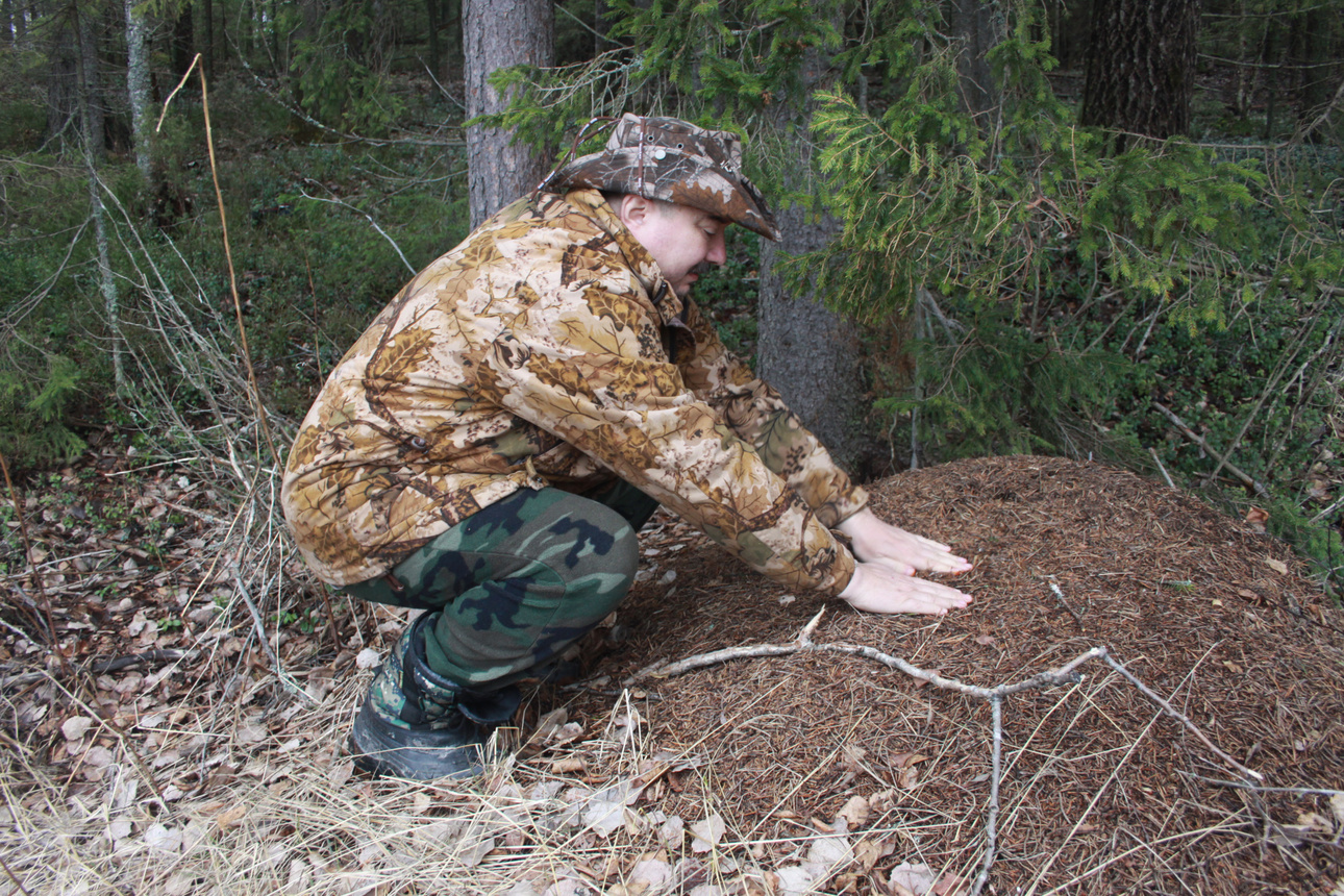 Изображение Фото авторское 