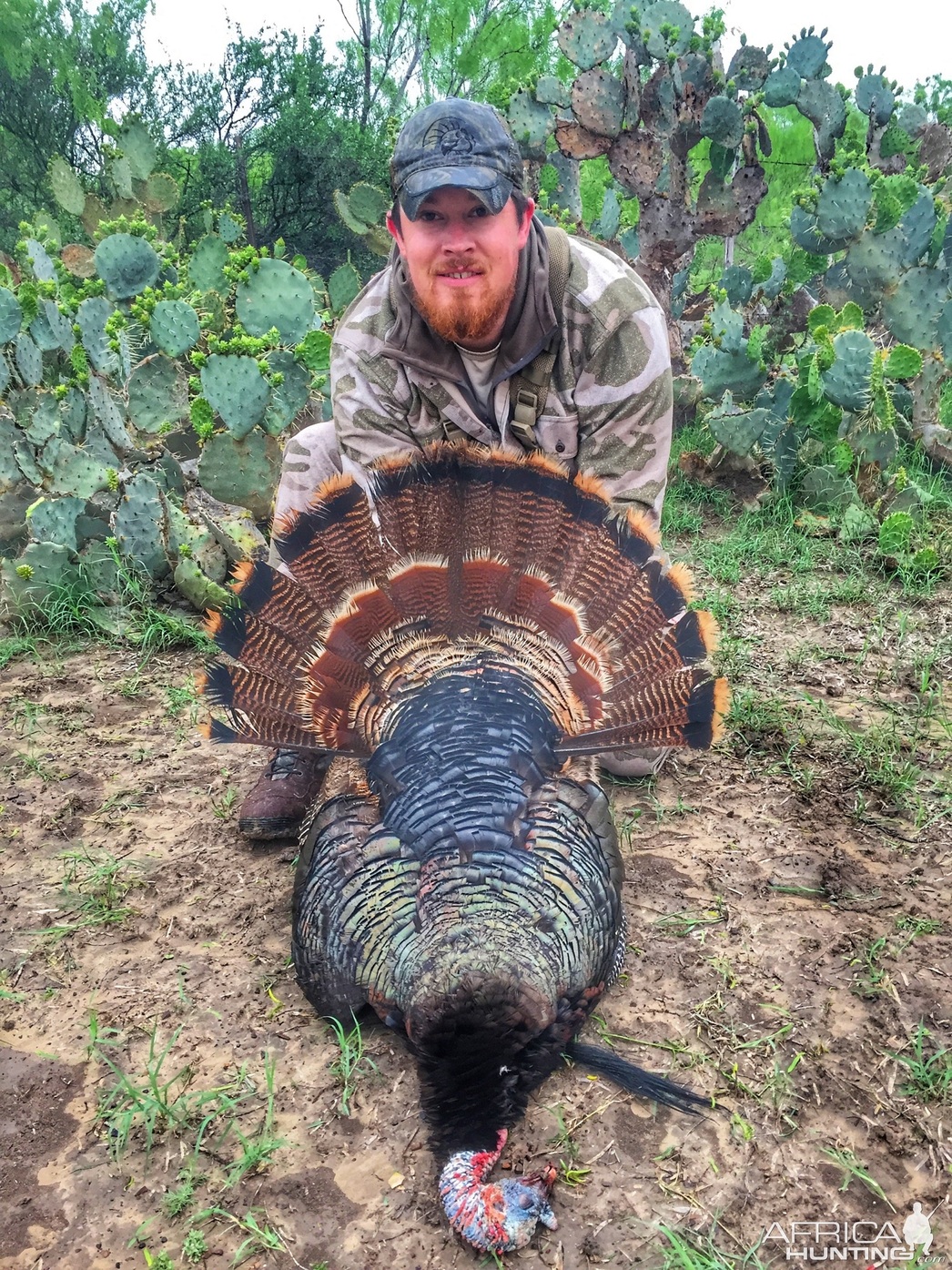 Изображение Фото: africahunting.com