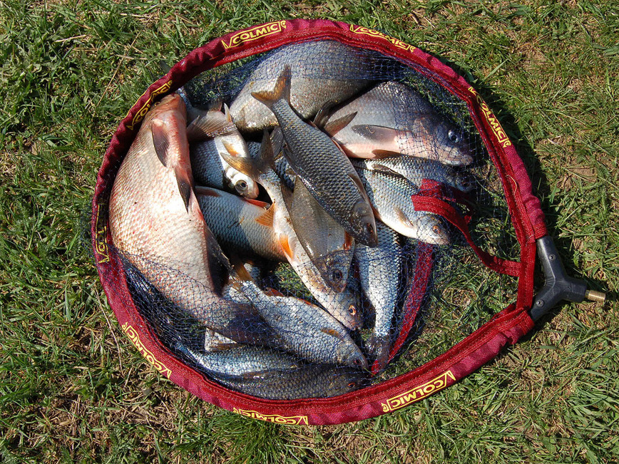 Изображение Фото: Яншевского Андрея.