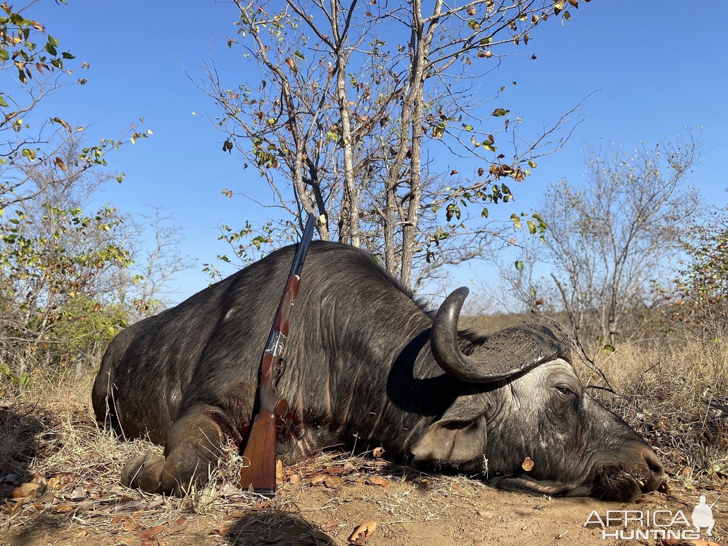 Изображение Фото: africahunting.com