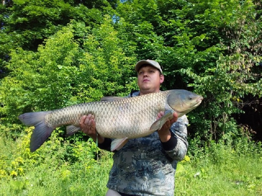 Изображение Фото из общедоступного источника. 