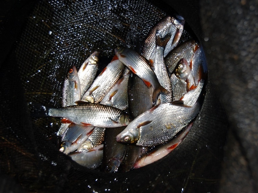 Изображение Фото: Яншевского Андрея. 