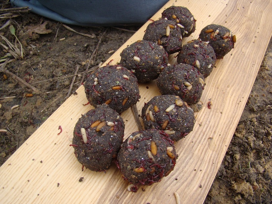 Изображение Фото: Линника Николая. 