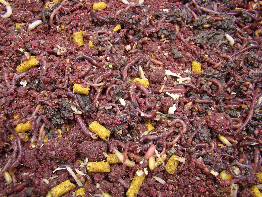 Изображение Фото: Линника Николая. 