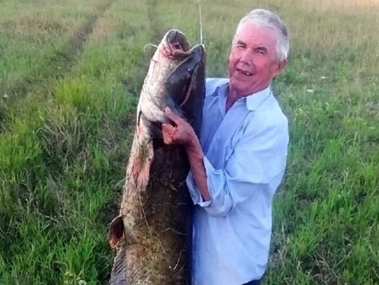 Изображение Страсти по сому: в Башкирии поймана рыбина в 45 кг веса (фото)
