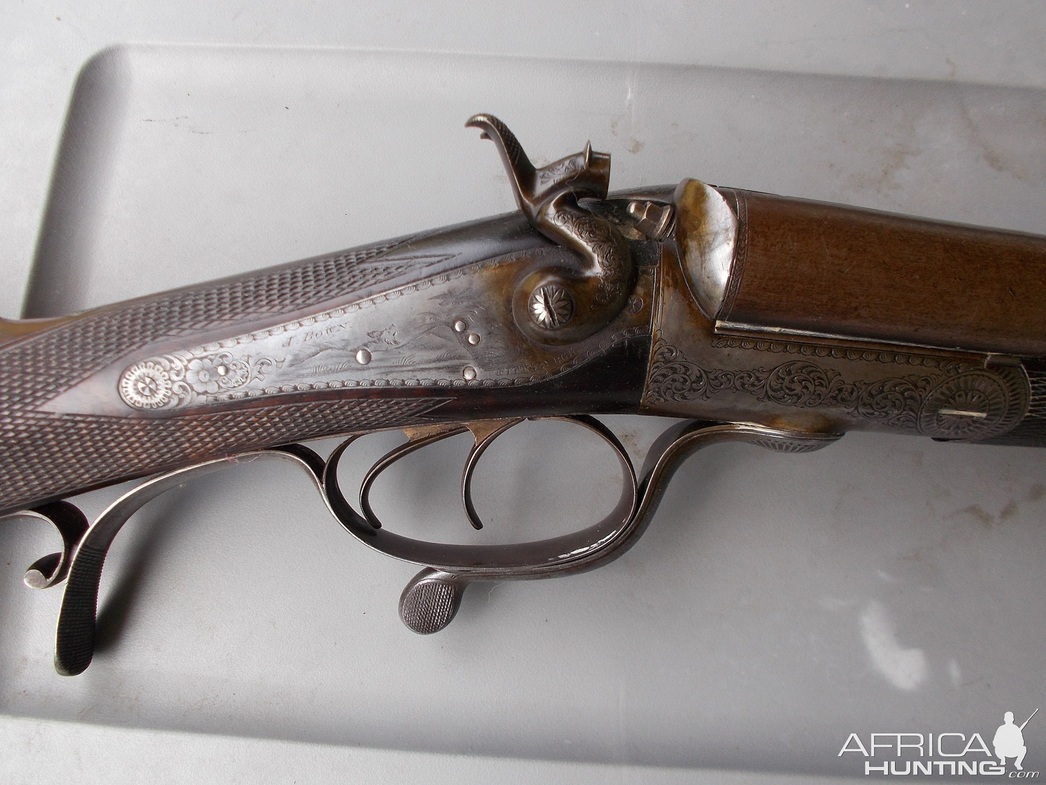 Изображение Фото: africahunting.com