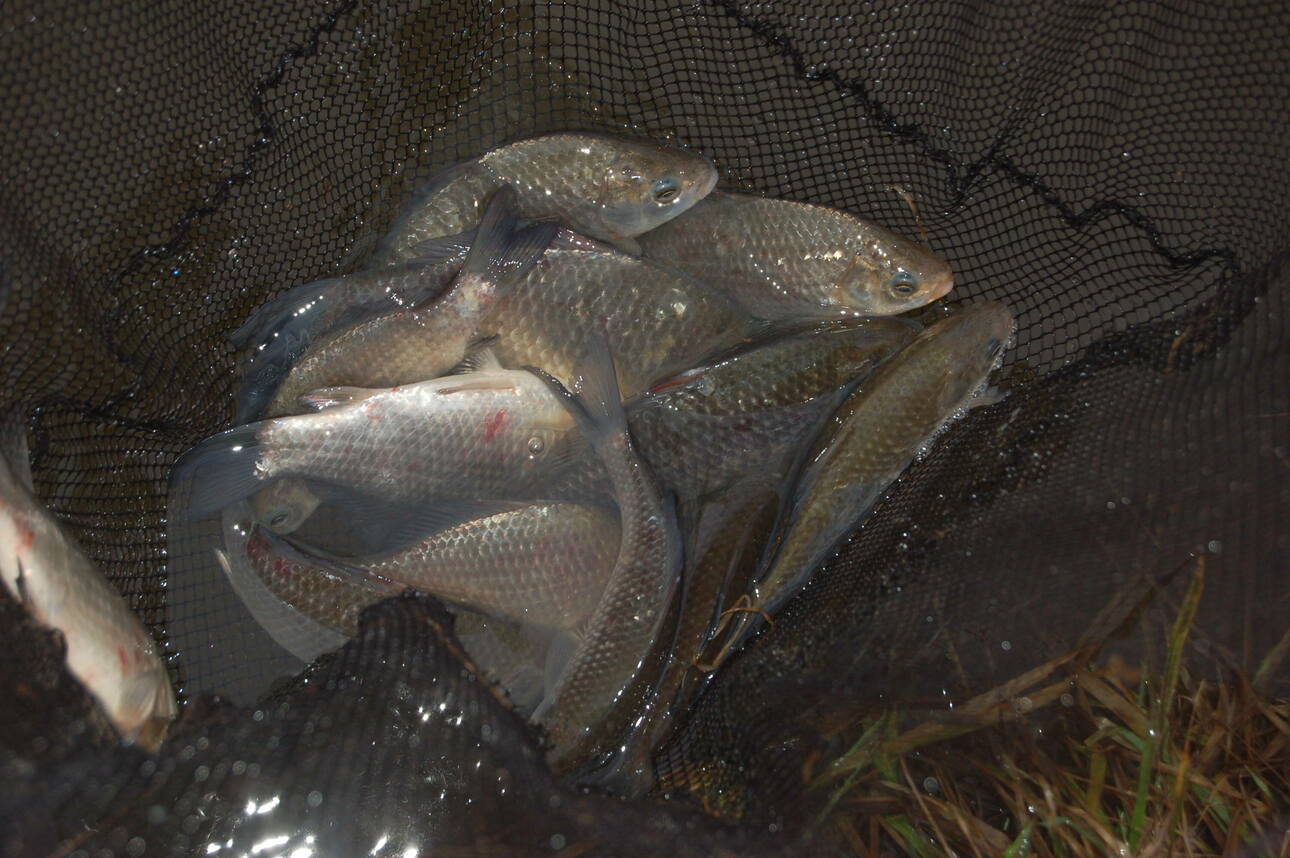 Изображение Фото: Яншевского Андрея. 