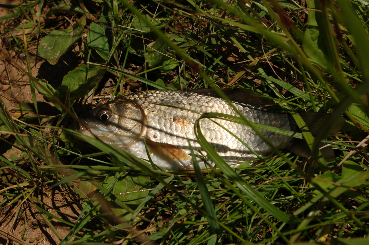 Изображение Фото: Яншевского Андрея. 