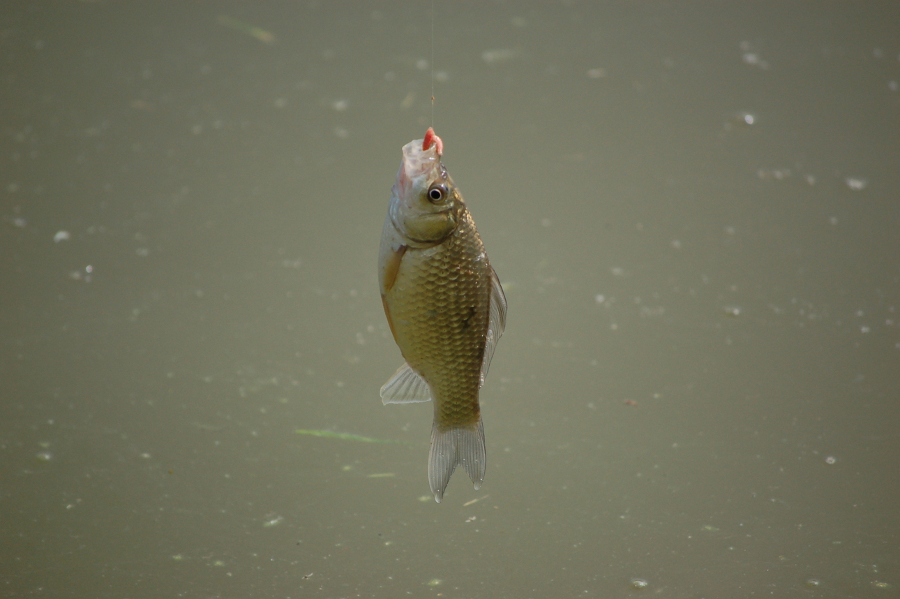 Изображение Фото: Яншевского Андрея. 
