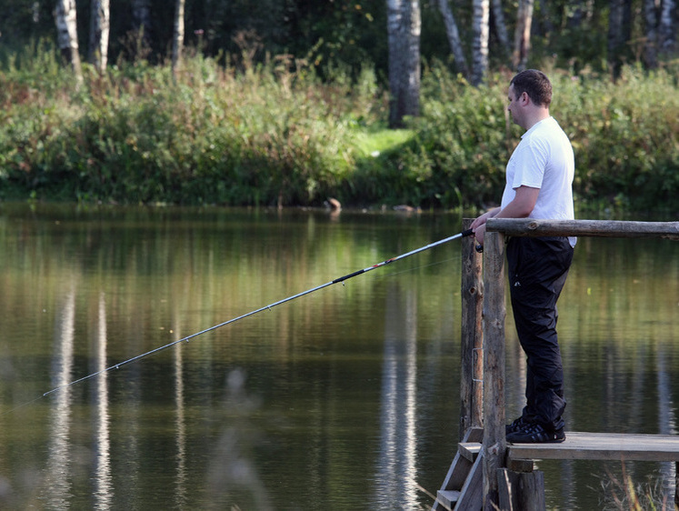 Изображение Щуки передохли: на Алтае сразу в нескольких водоемах всплывает рыба