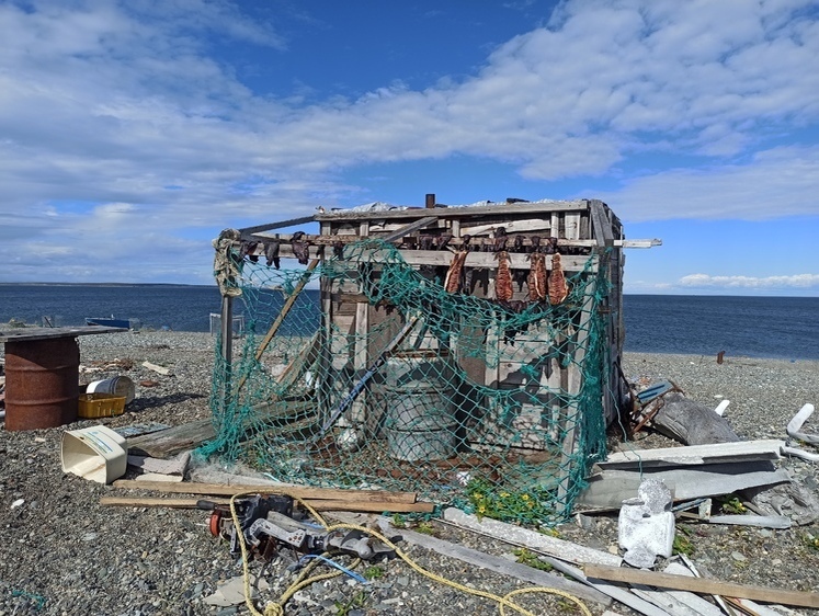 Изображение Сотрудница Дома культуры намыла на реке 5 килограмм красной икры