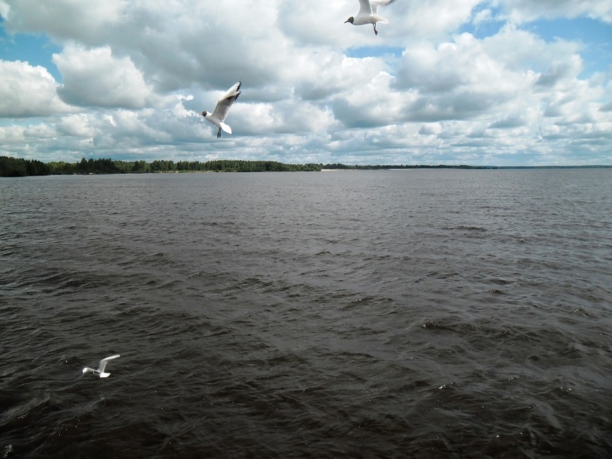 Изображение Фото: Токарева Александра. 