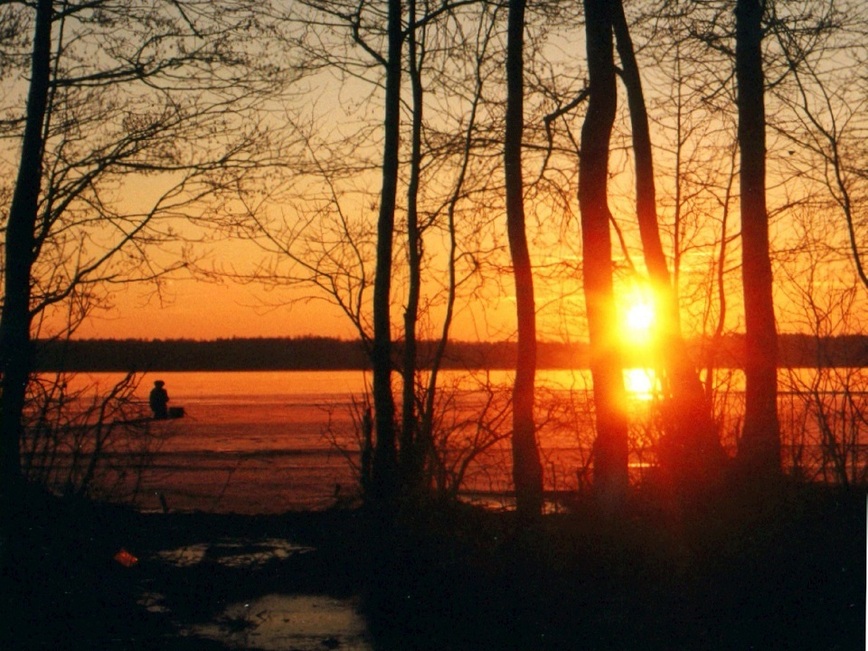 Изображение Фото: Токарева Александра. 