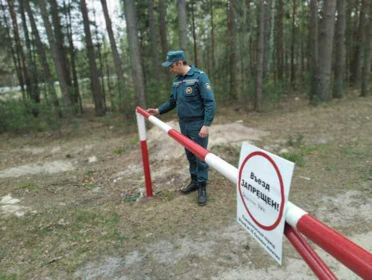 Изображение «Стой! Кто идет?»: на Ямале запретили ходить в лес до 5 сентября