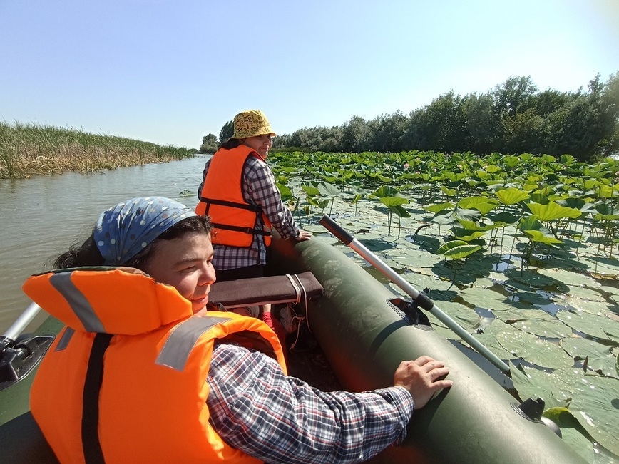Изображение Лотосы скоро раскроются. Фото: Трембицкого Алексея. 