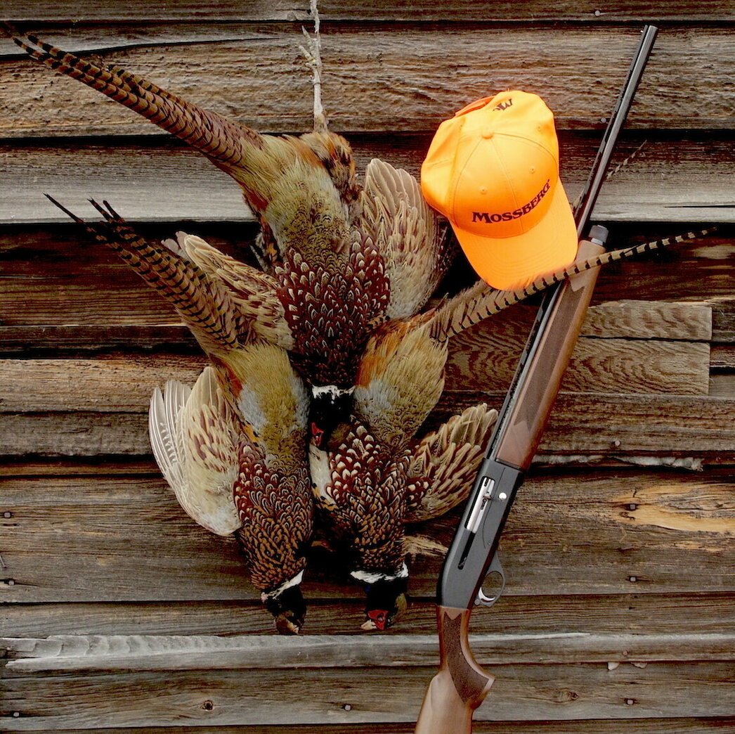 Изображение Фото: ronspomeroutdoors.com