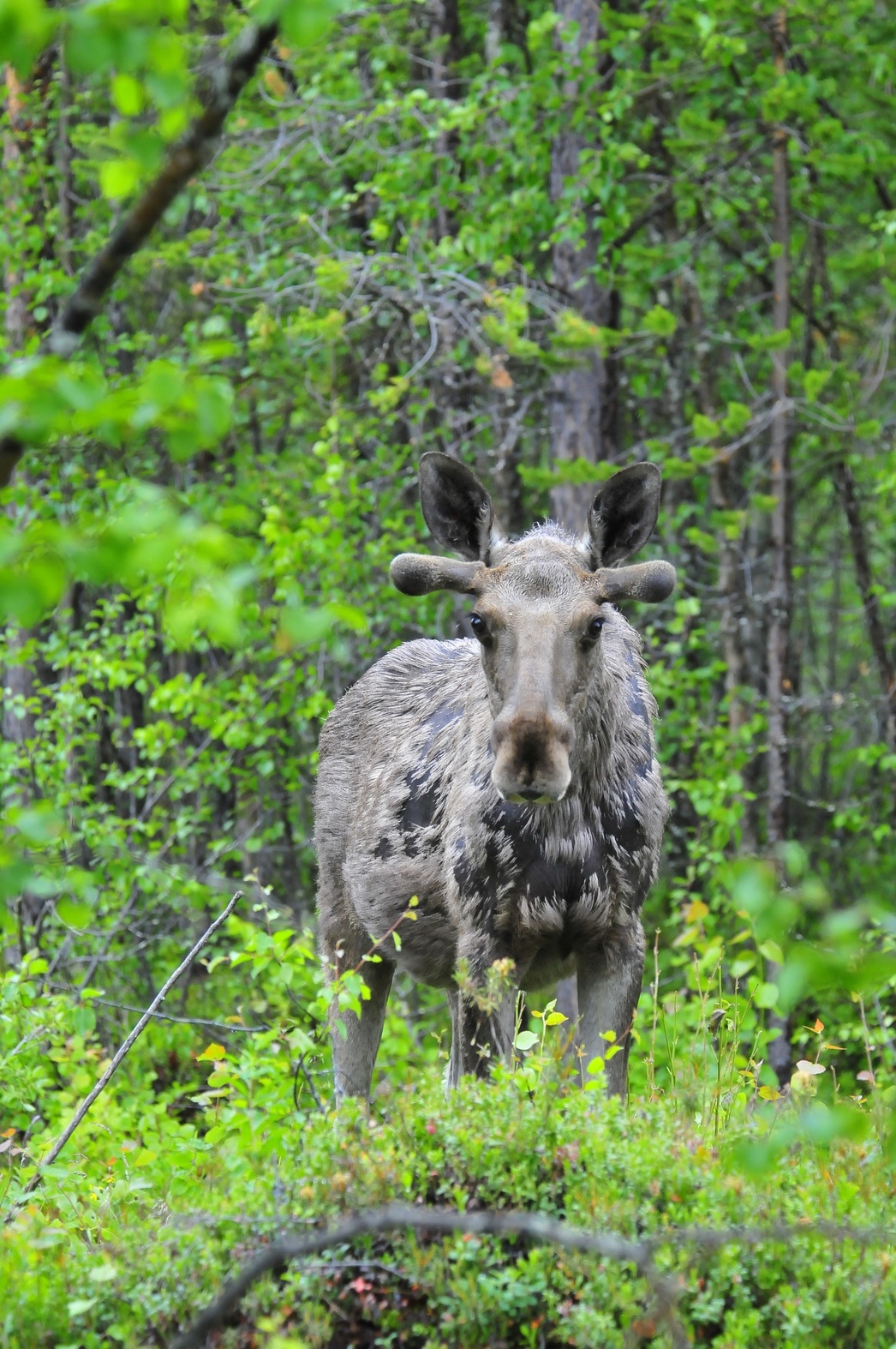 Изображение Фото: Александр Назаров