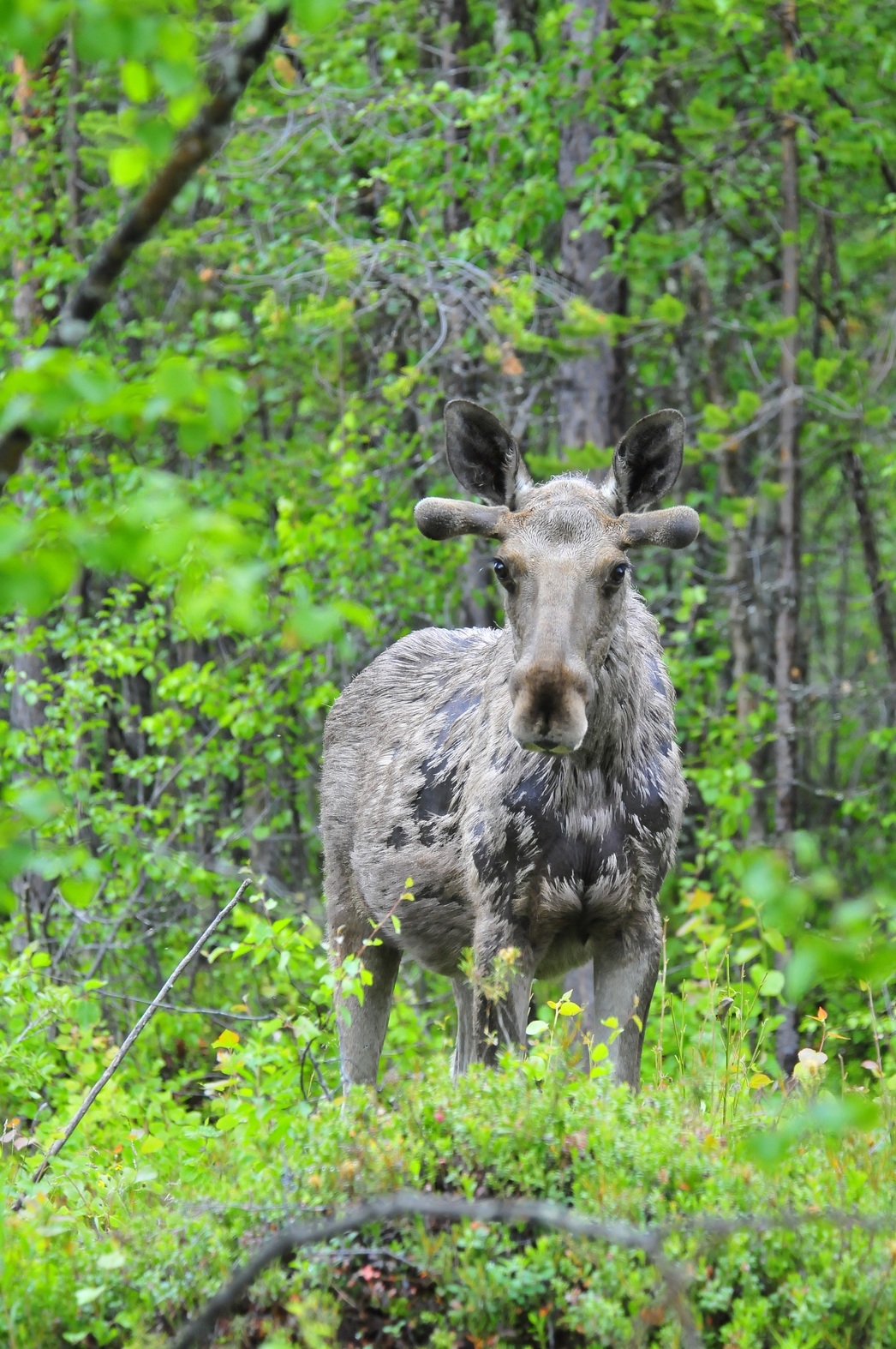 Изображение Фото: Александр Назаров