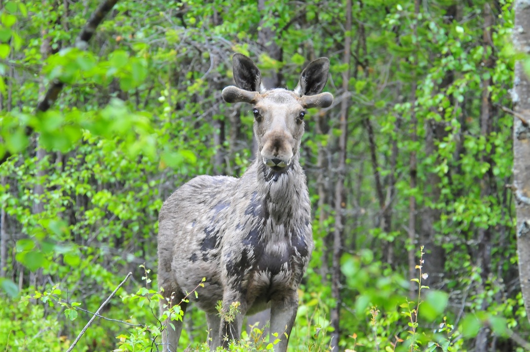Изображение Фото: Александр Назаров