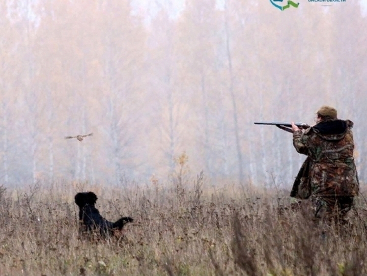   Омским охотникам разрешили отстреливать боровой дичи в 5 раз больше
