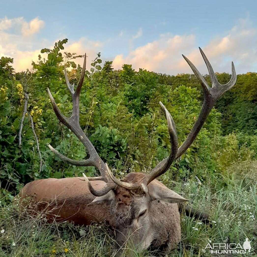 Изображение Фото: africahunting.com