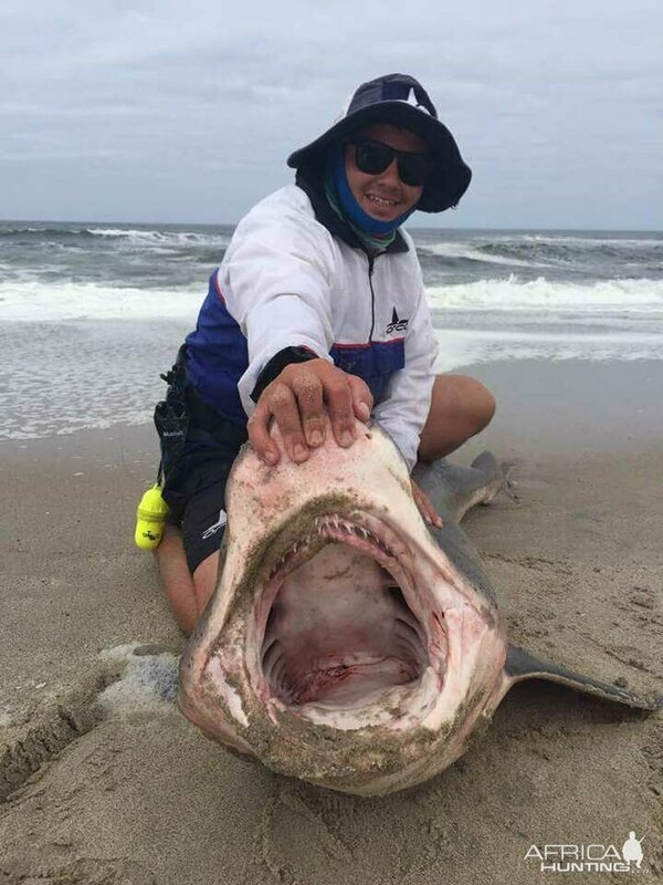 Изображение Фото: africahunting.com