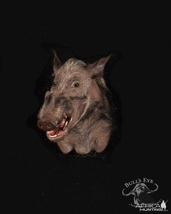 Изображение Фото: africahunting.com