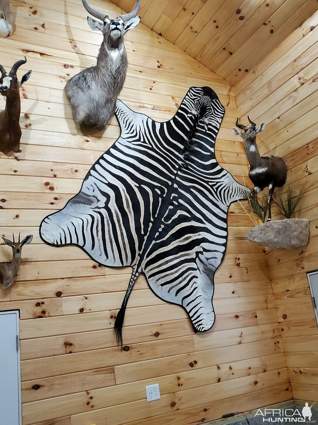 Изображение Фото: africahunting.com