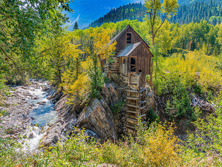 Изображение Лабаз хотел строить:  охотник в Удмуртии вырубил часть елового бора