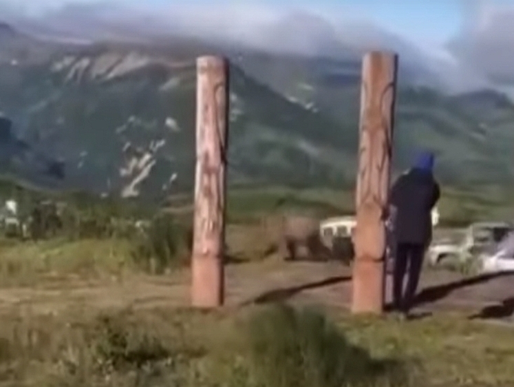 На Камчатке медведь повел себя умнее туристов