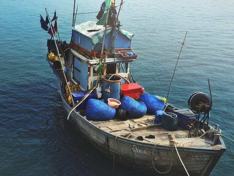 Изображение В заливе Петра Великого во время крушения судна погиб рыбак