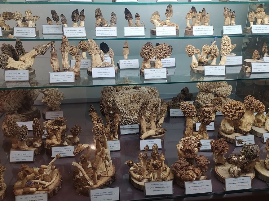 Изображение Фото: Супруненко Владимира. 