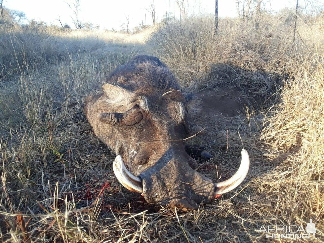 Изображение Фото: africahunting.com