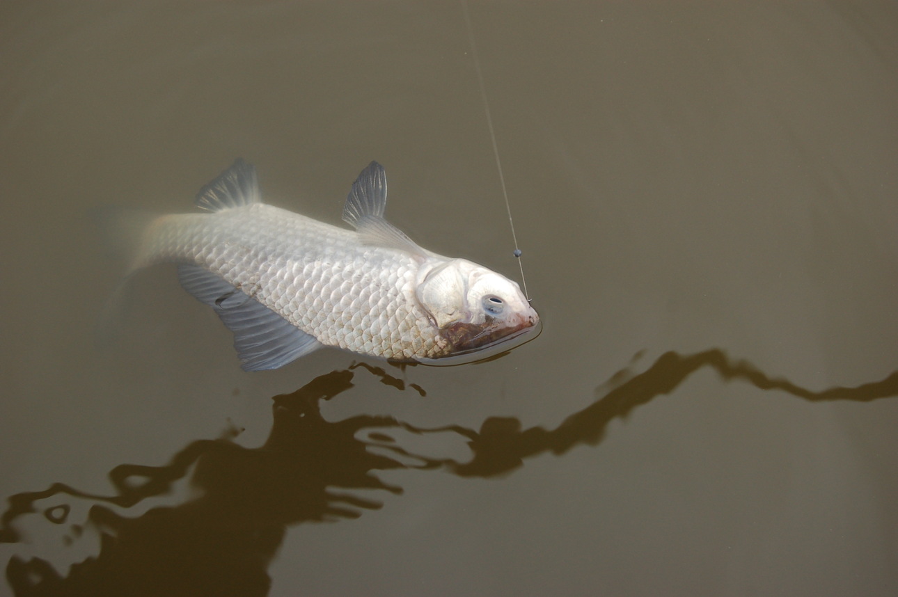 Изображение Фото: Яншевского Андрея. 