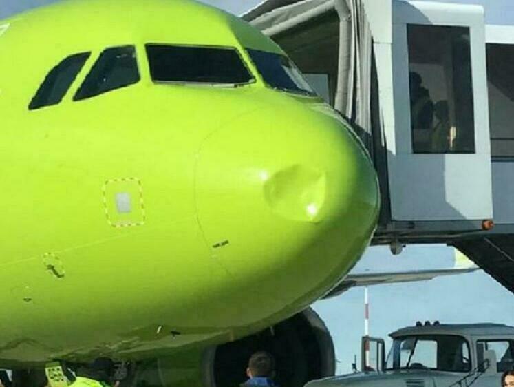 Изображение Прокуратура проверяет почему чайка врезалась в самолет