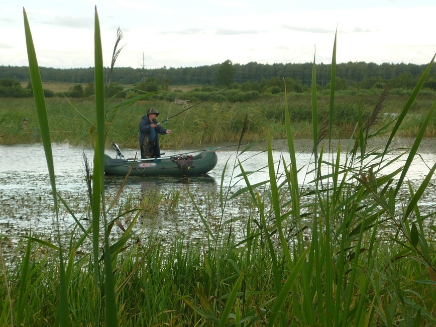Изображение Фото: Михайлова Вячеслава. 