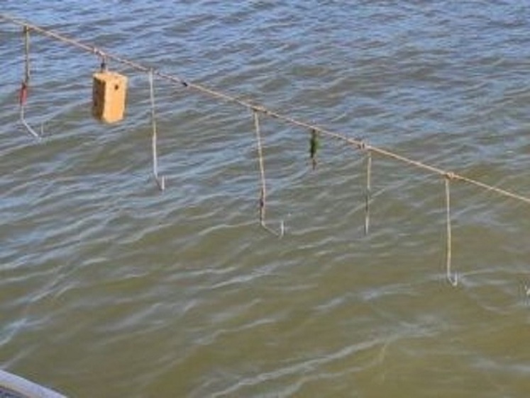 Изображение Астраханская рыбоохрана изымает сотни сетей